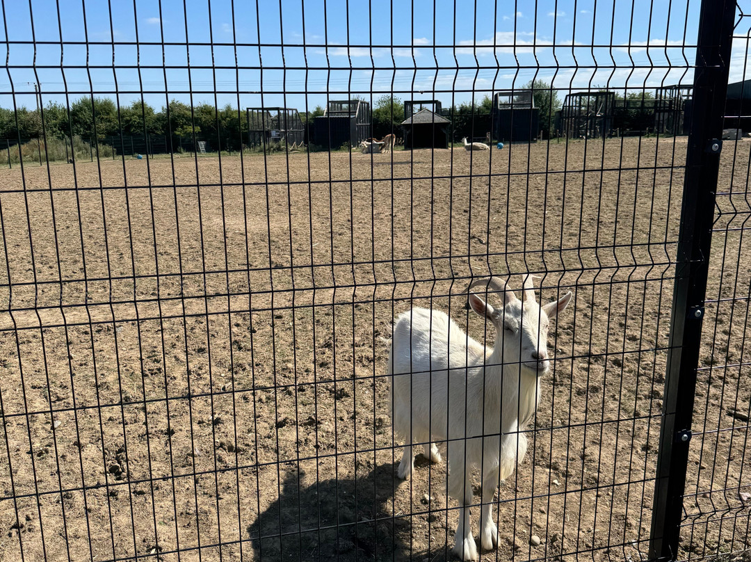 Ashlyns Wildlife Park-North Weald必去景点