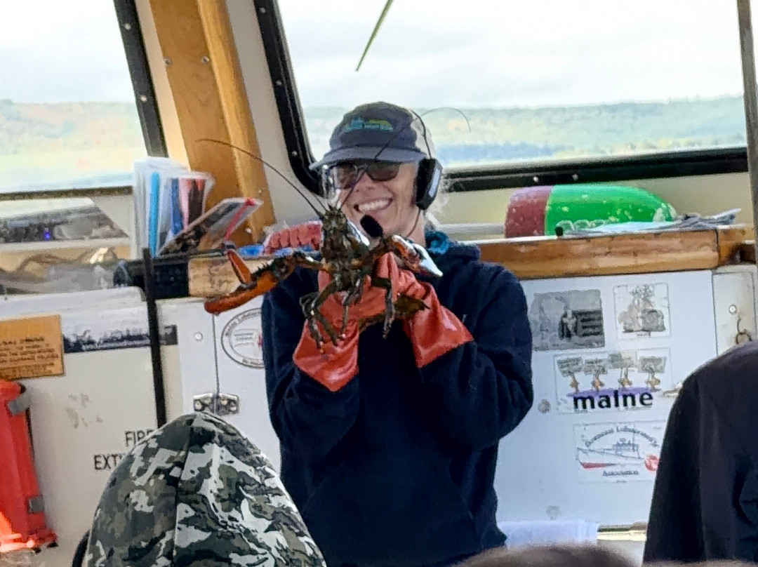 Lulu Lobster Boat-巴港必去景点