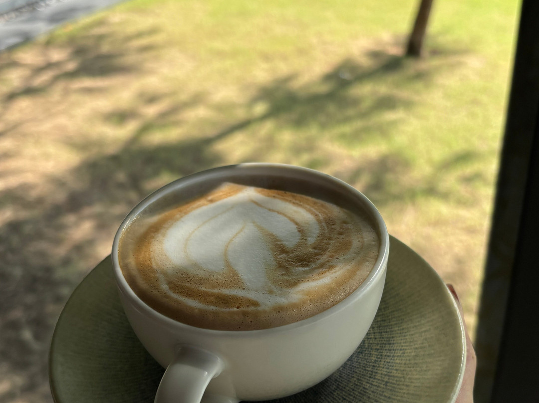 Mysa Zinc Journey by the Fern, Nani Devati主图