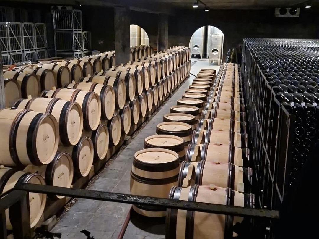 Genoels-Elderen Wine Castle-Riemst必去景点