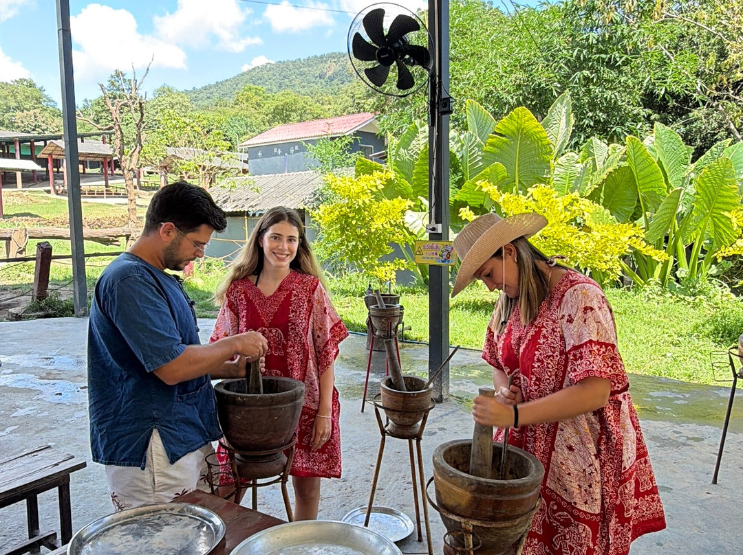 Tee Chiangmai Private Tour-清迈必去景点