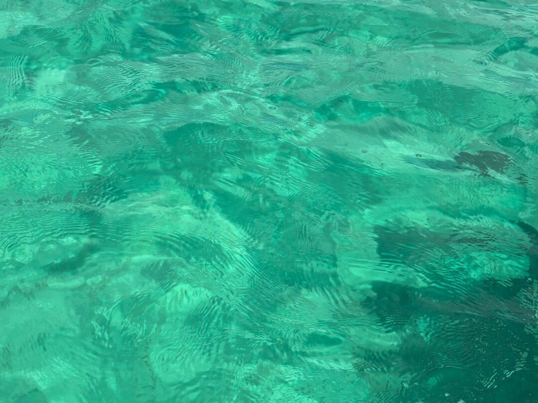 Long Island Boat Rentals & Tours-长岛必去景点