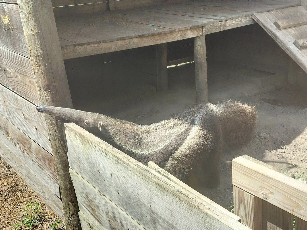 North Florida Wildlife Center-Lamont必去景点