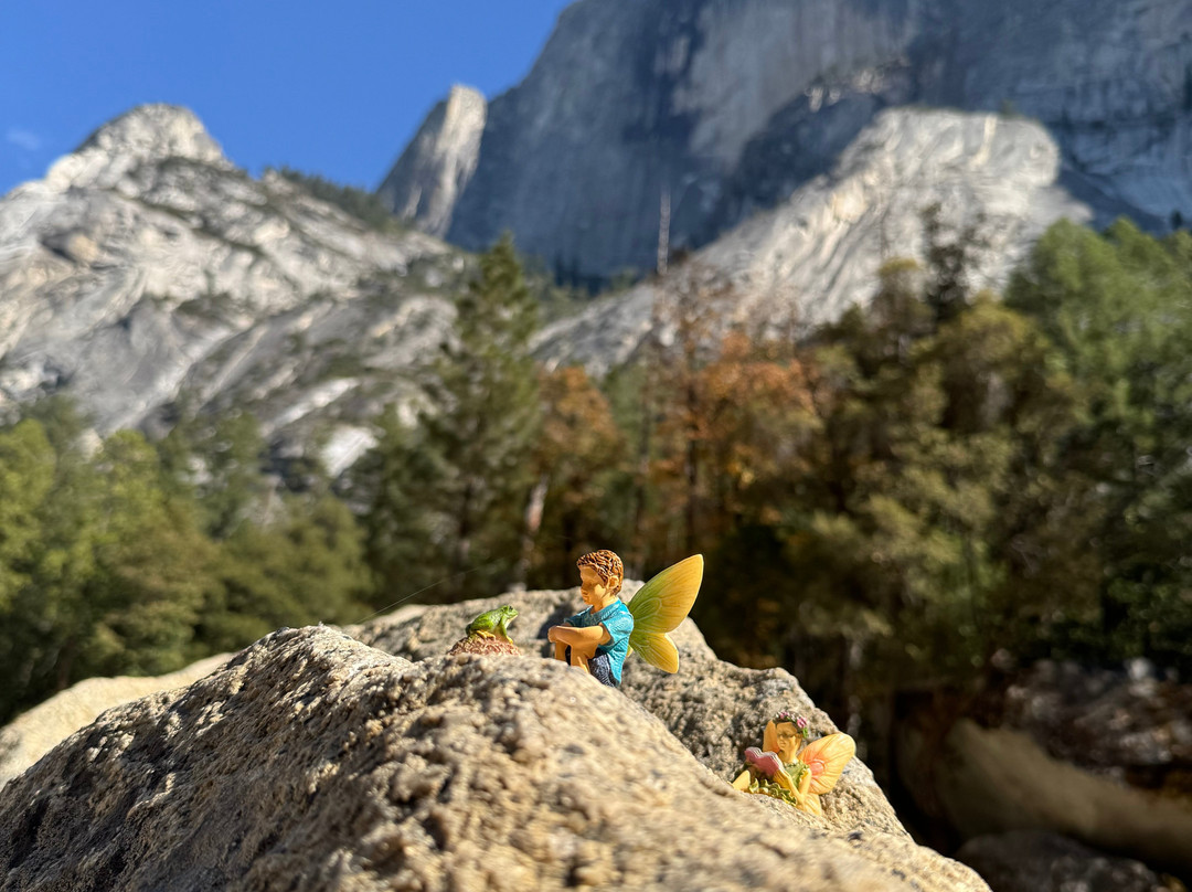 Yosemite Private Tours-Wawona必去景点