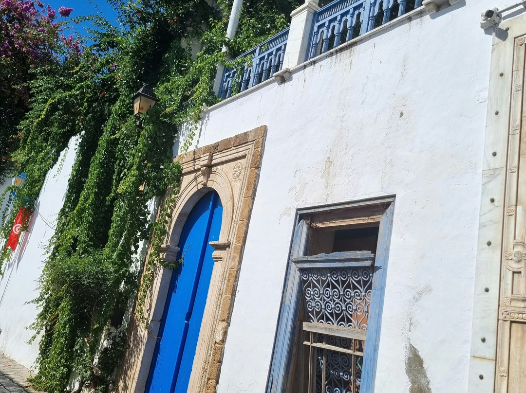 Sidi Bou Said-蓝白小镇必去景点
