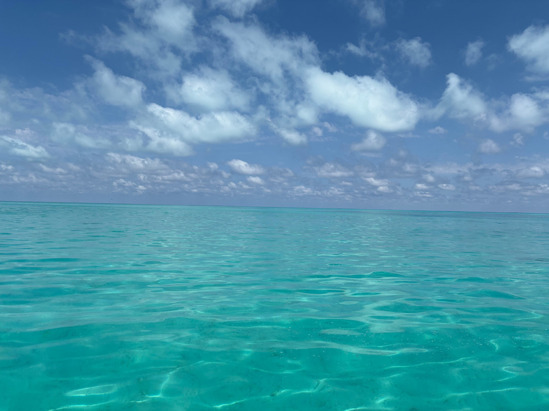 Coral Expeditions-凯恩斯必去景点