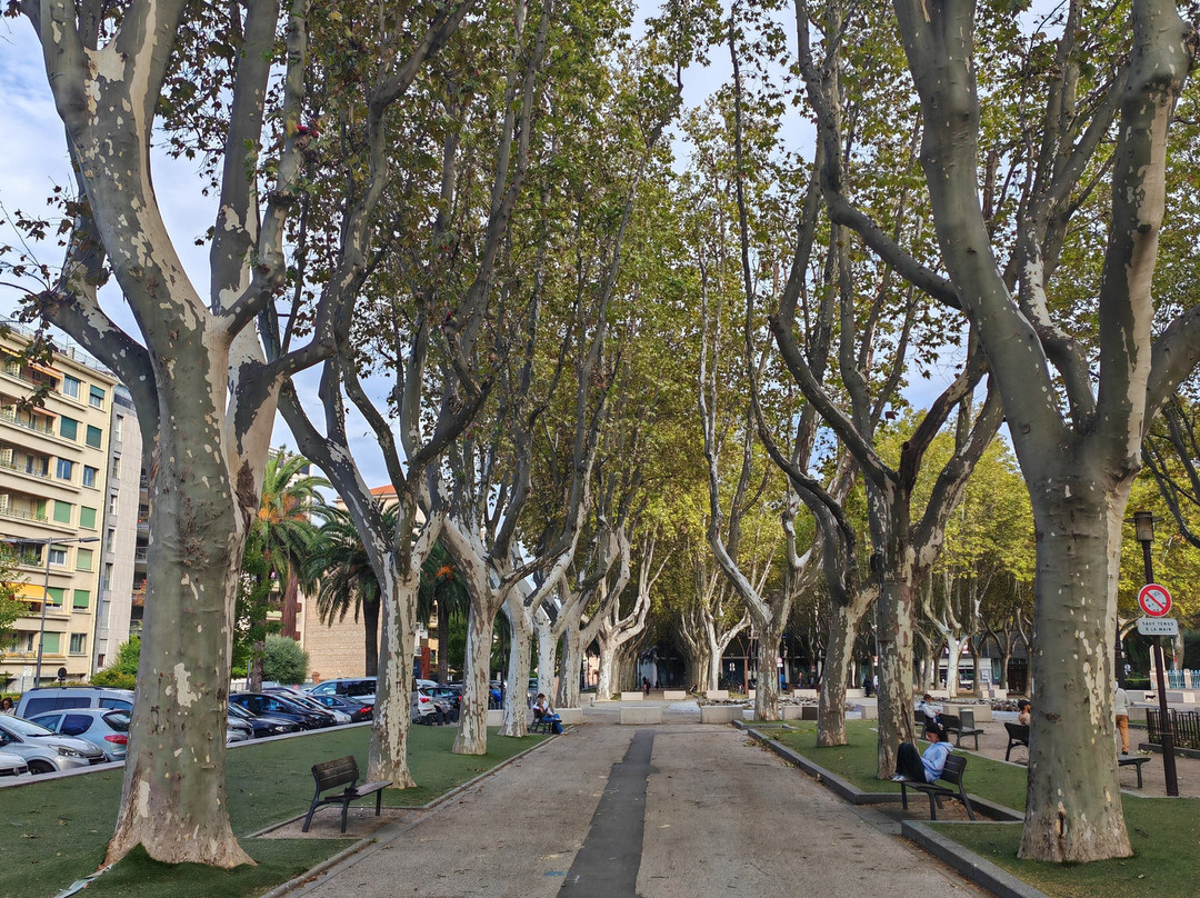 Promenade des Platanes-佩皮尼昂必去景点