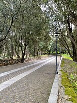 Parco Comunale Perd'e Pibera景点图片