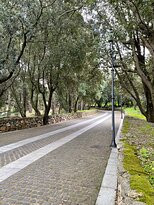 Parco Comunale Perd'e Pibera-Gonnosfanadiga必去景点