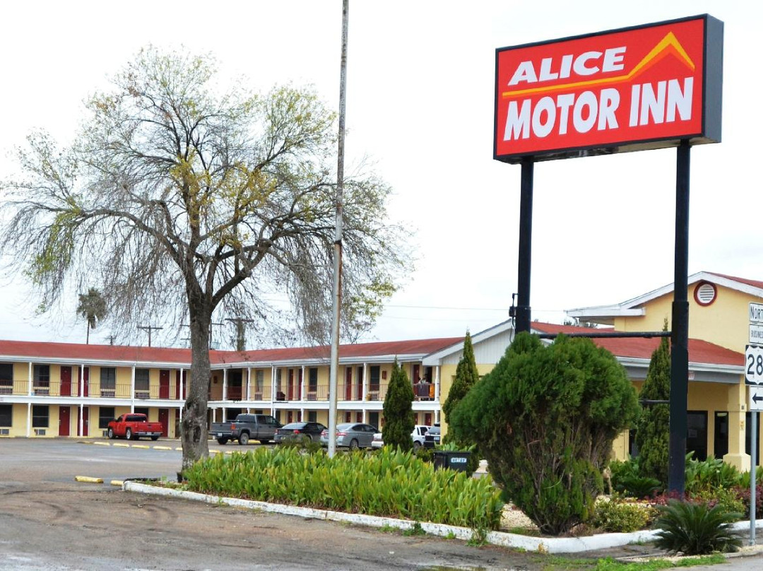 Alice Motor Inn