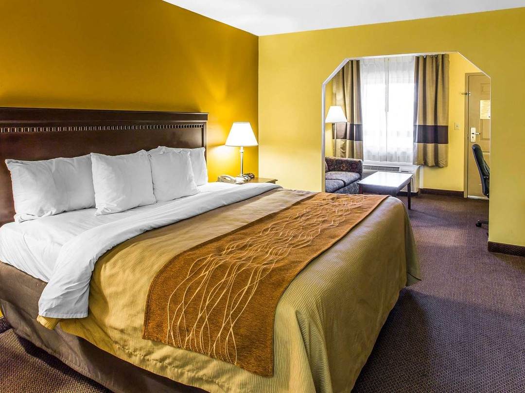 Comfort Inn Forsyth I-75主图