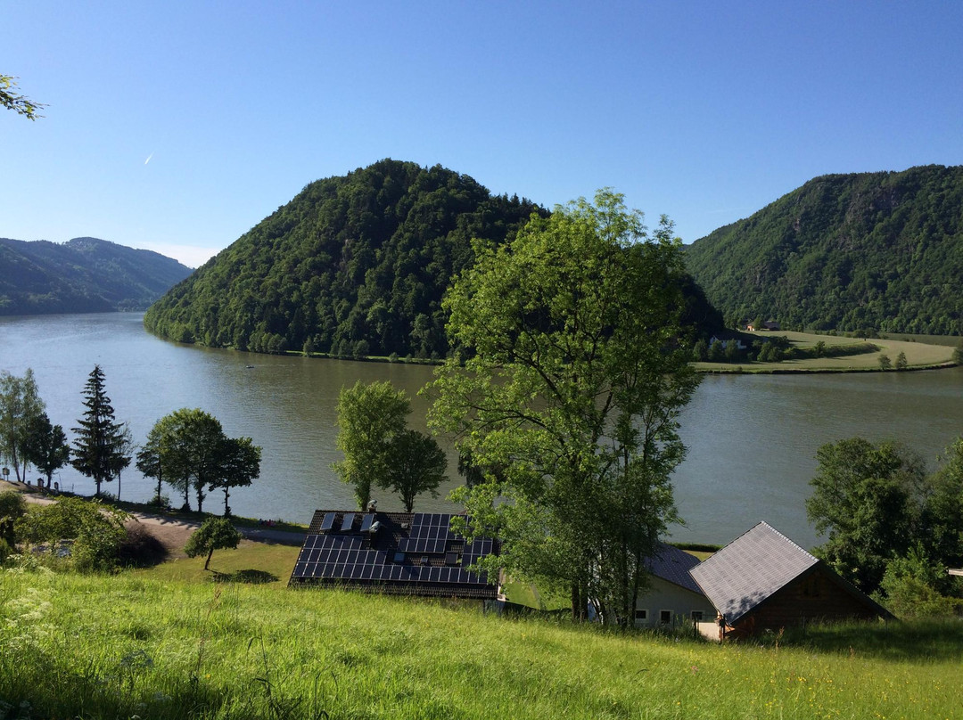 Neukirchen am Walde旅游攻略图片