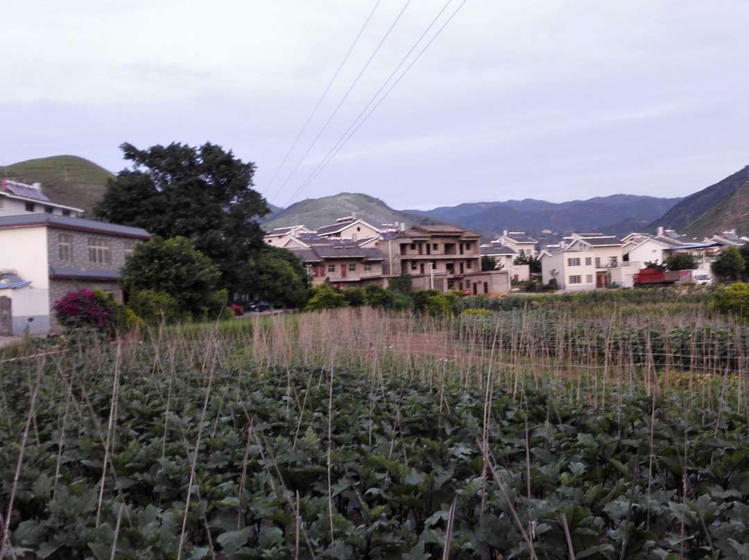红格镇-盐边县必去景点