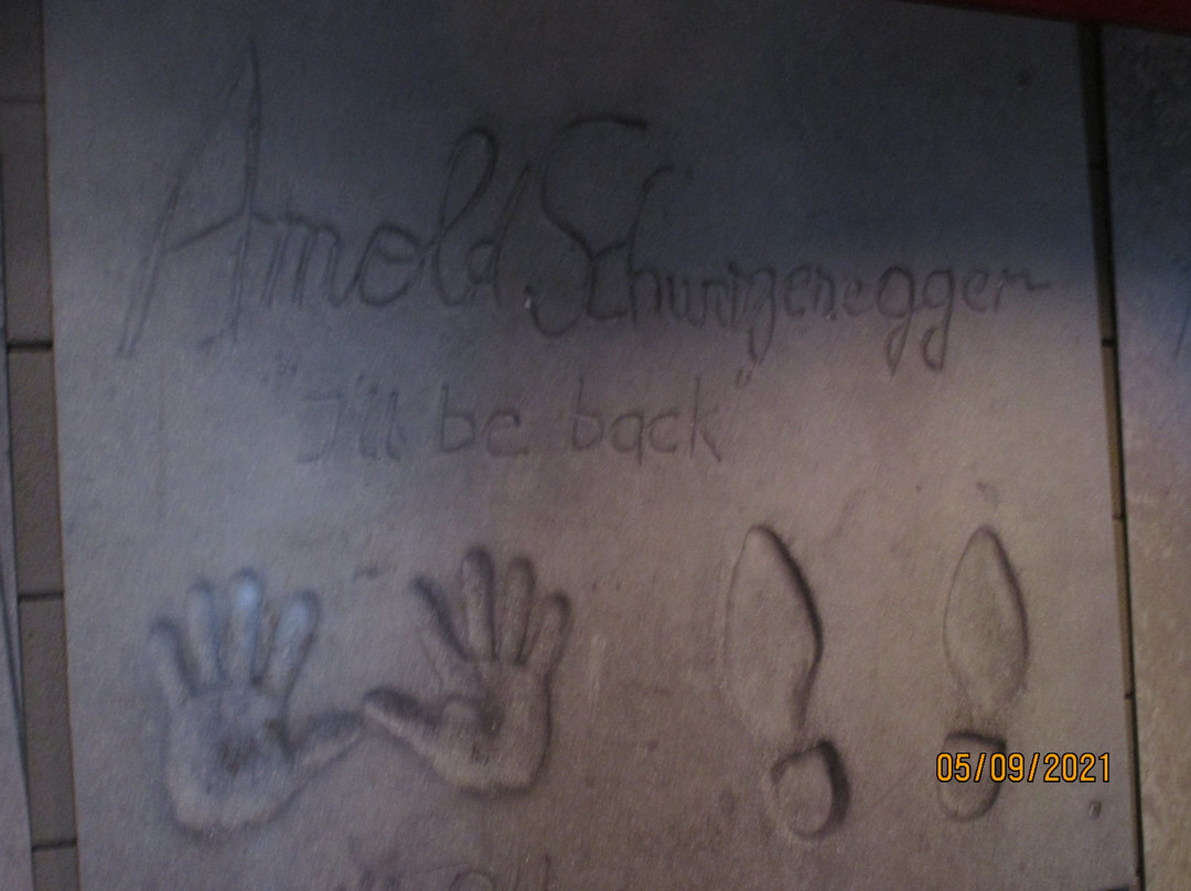 Hollywood Blvd. A Cinema, Bar, & Eatery