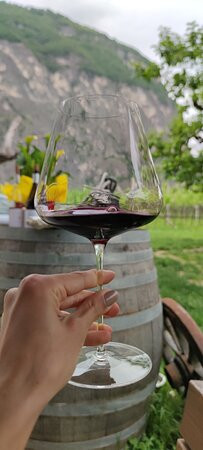 Cantina DE VIGILI景点图片