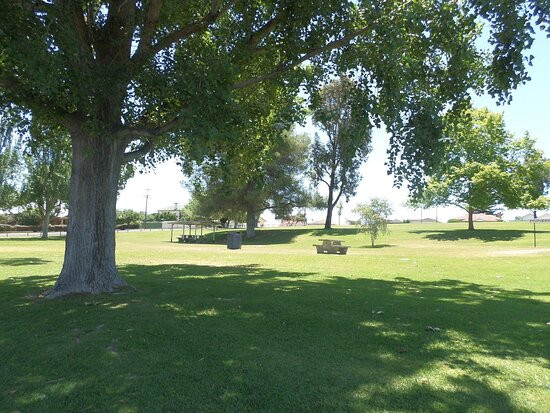 Pioneer Park景点图片