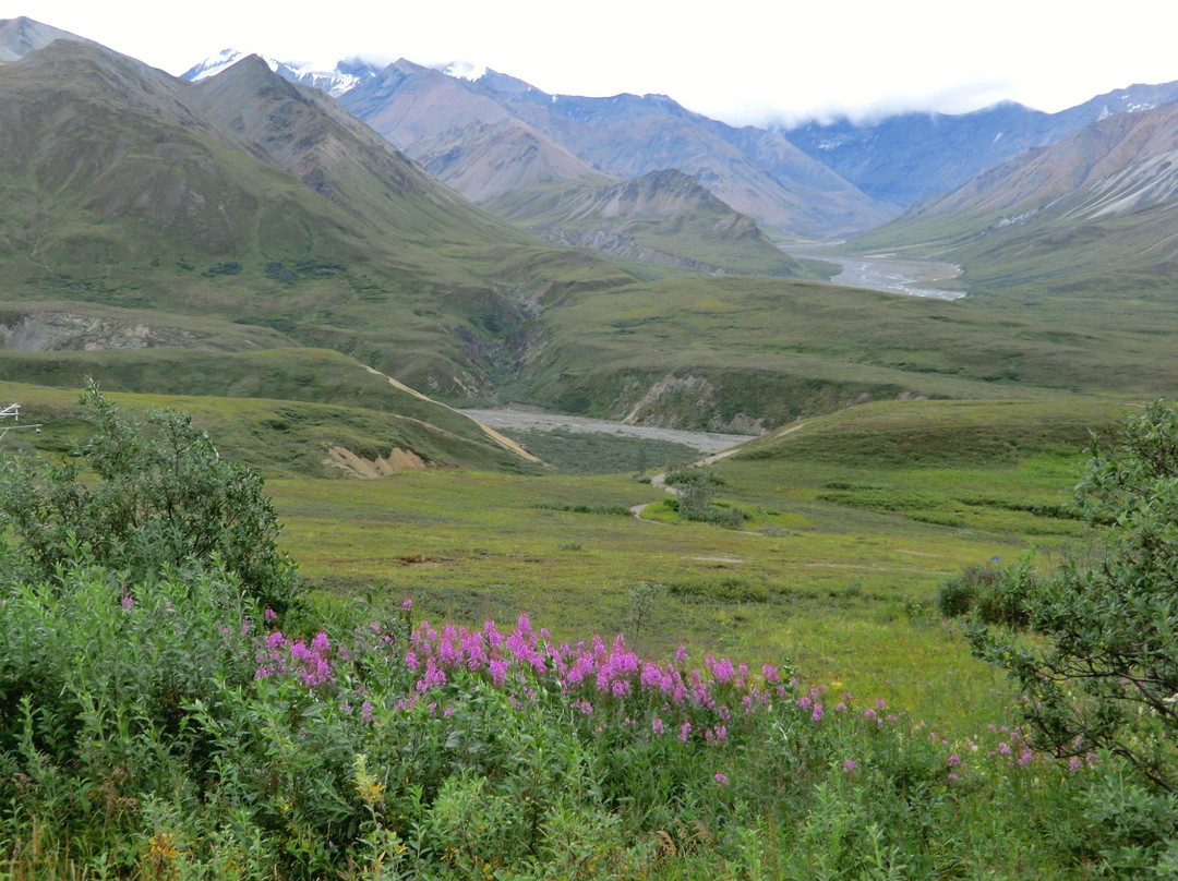 Eielson Visitor Center景点图片