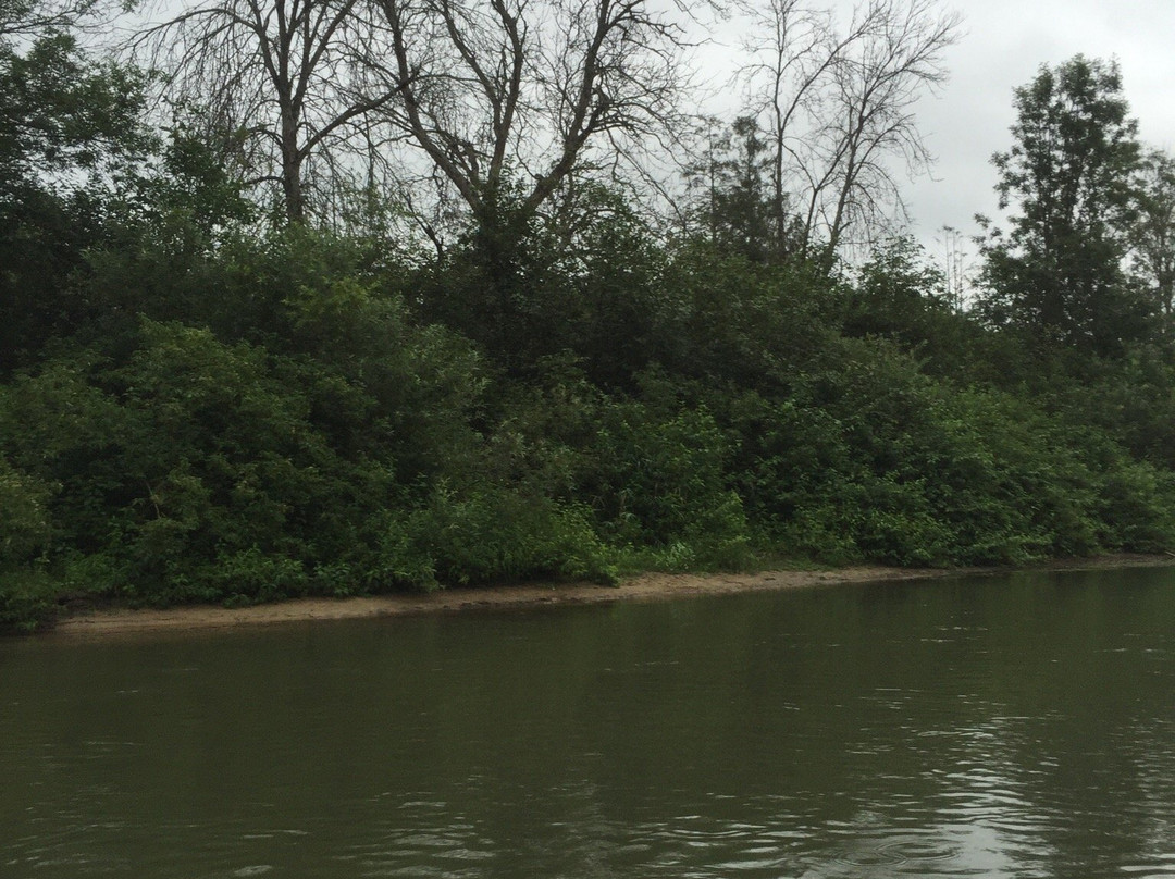 Wilderness Canoe Trips