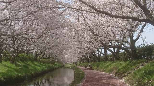 Konosu Fukiage Motoarakawa Hashizukushi-鸿巢市必去景点