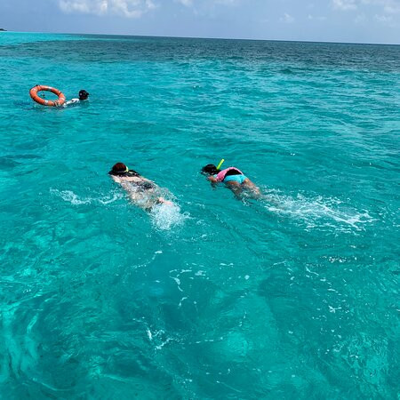 Cozumel - Monkey Adventures México-考祖梅必去景点