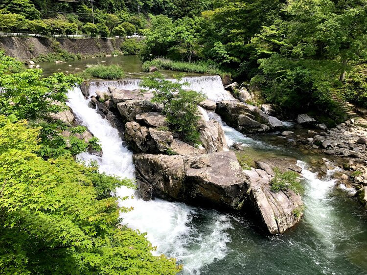 Oidaira Park-丰田市必去景点