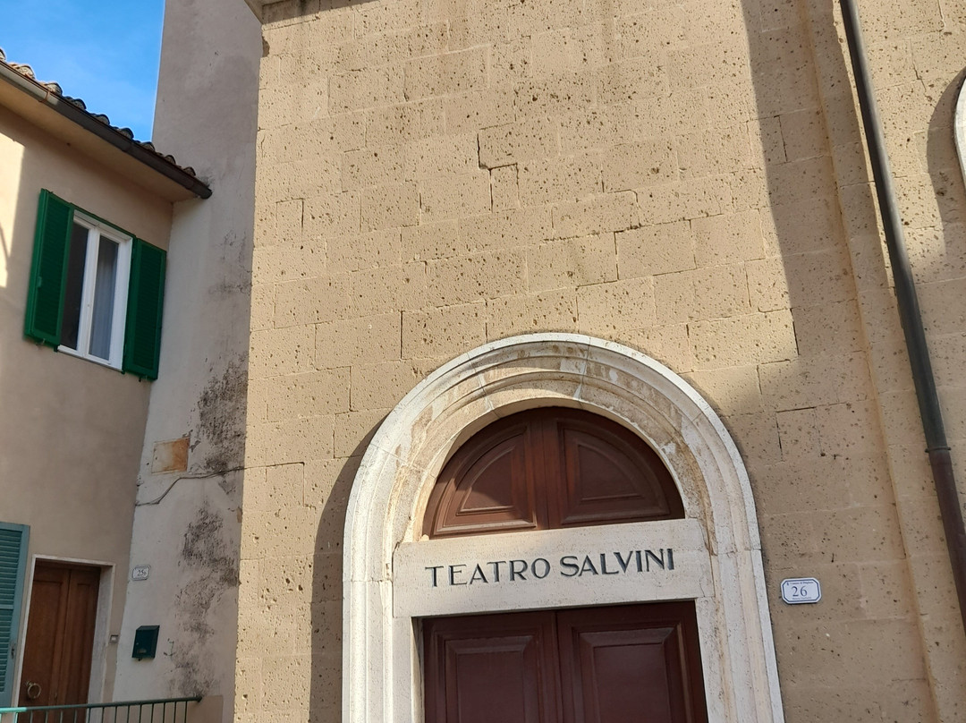 Teatro Salvini景点图片