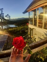 Mount Lake Inn主图