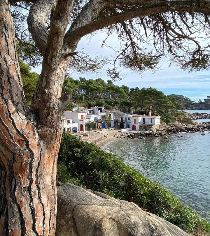 La Cala S'Alguer景点图片