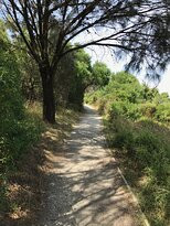 Screw Creek Townsend Bluff Estuary Walk-Inverloch必去景点