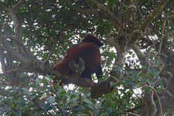 Kujukushima Zoological and Botanical Garden Morikirara-佐世保市必去景点