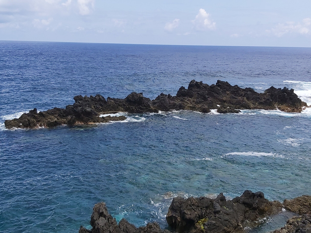 Jardim da Frente de Mar de Porto Moniz景点图片