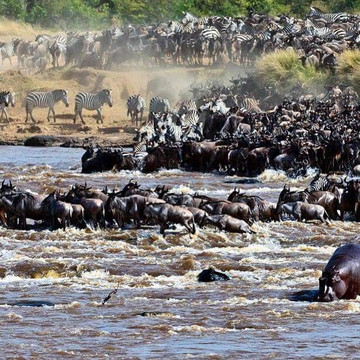 Gilmag Safaris-阿鲁沙必去景点