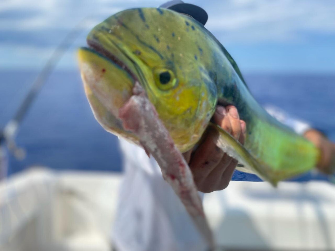 Pelagic Hunter Sportfishing-Sneads Ferry必去景点