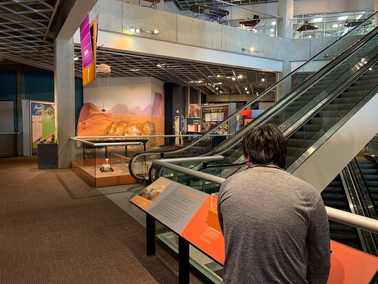 大湖区科学中心-克利夫兰必去景点