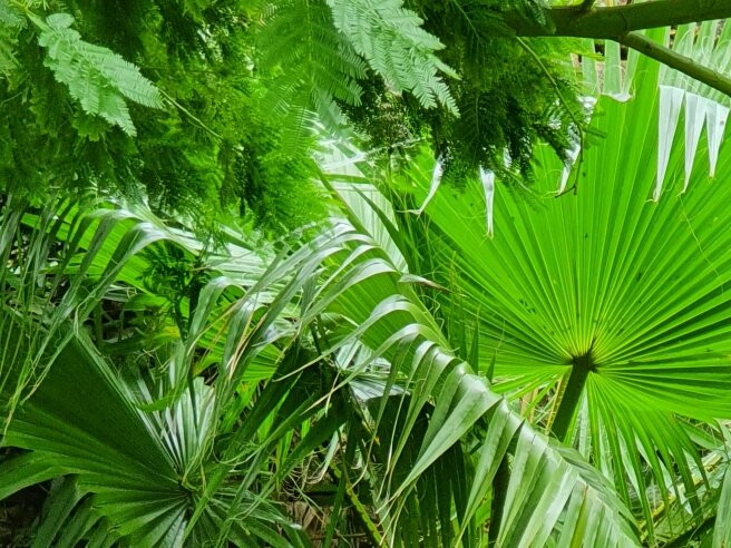 Hotel De France主图