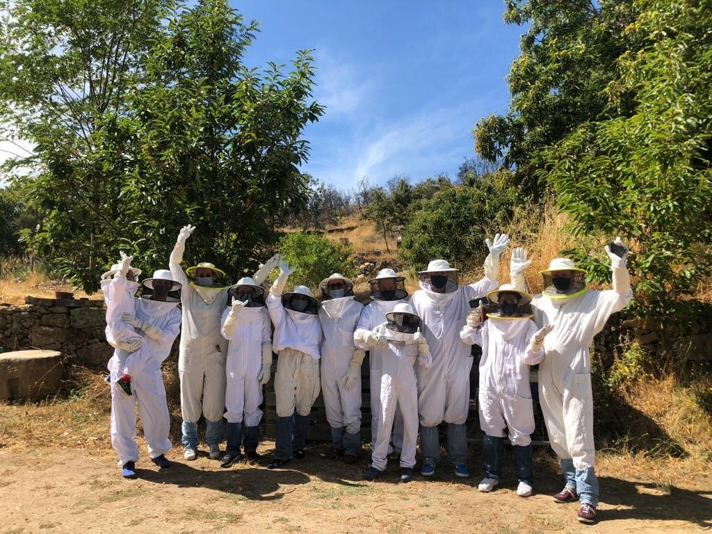 Apibericos,professional beekeepers景点图片