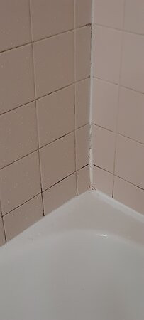 Baymont by Wyndham Marion主图