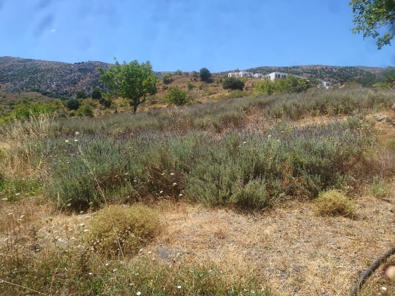 Lasinthos Eco Park主图