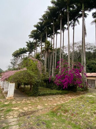 Fazenda Allianca Agro景点图片
