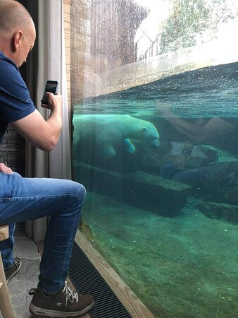 Pairi Daiza Resort主图