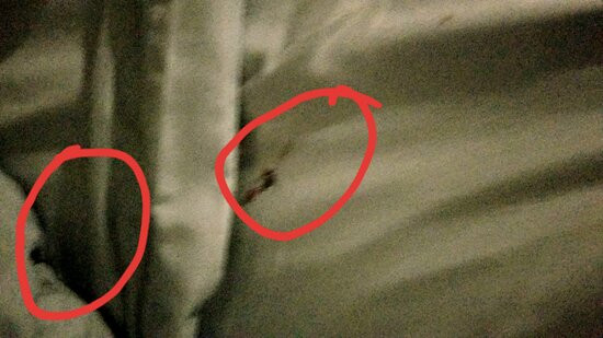 Dauphin Island Harbor House主图