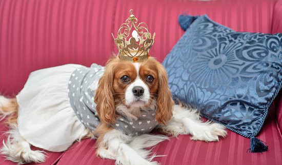 威尔伯顿旅馆主图