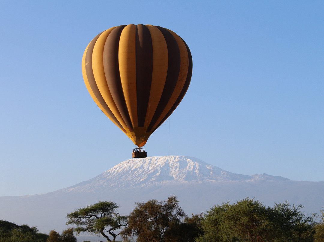 Kilimanjaro Balloon Safaris景点图片