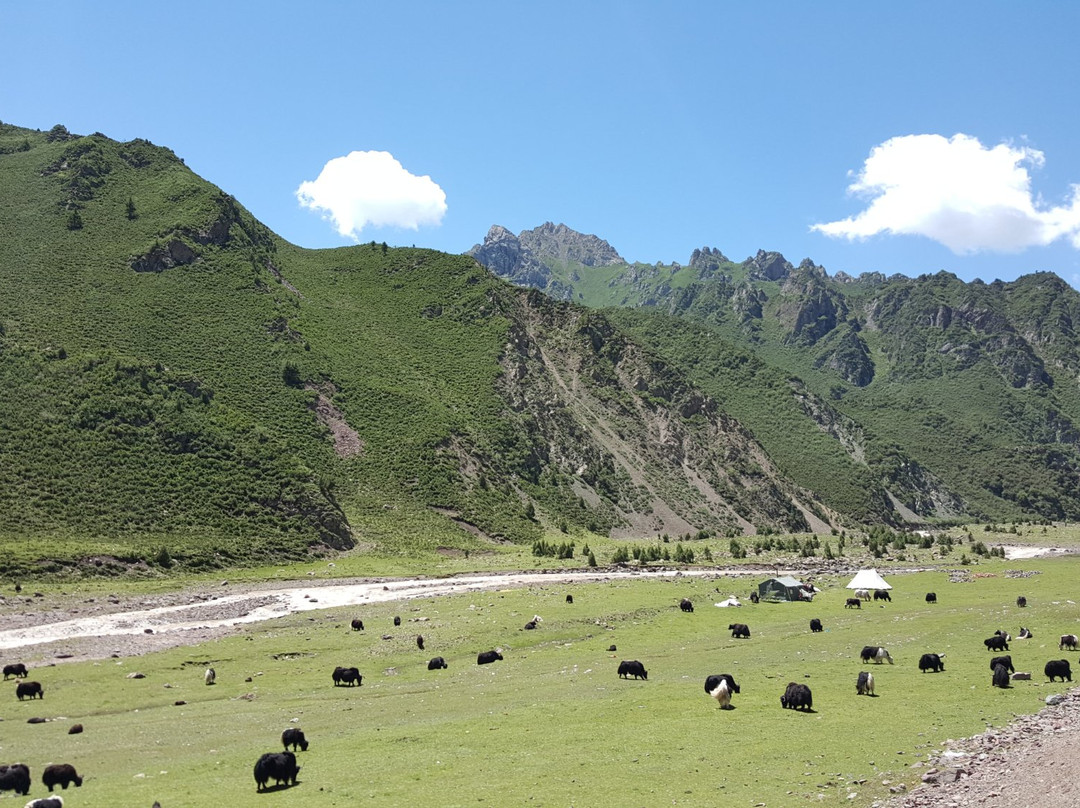 祁连县旅游攻略图片