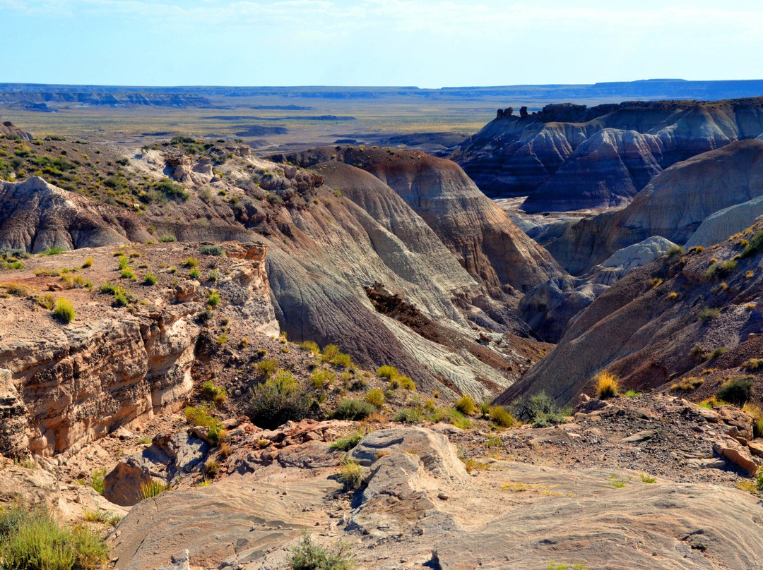霍尔布鲁克旅游攻略图片