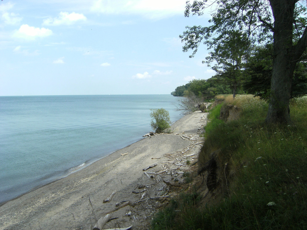 Lakeshore旅游攻略图片