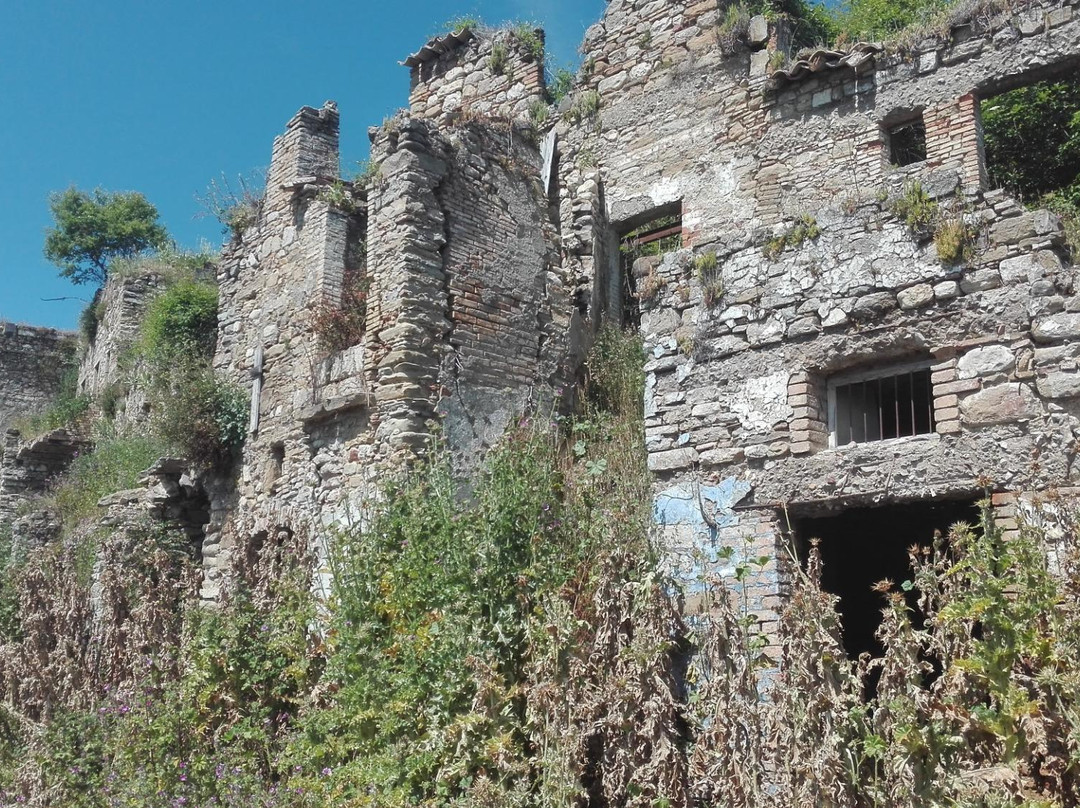 Accadia旅游攻略图片