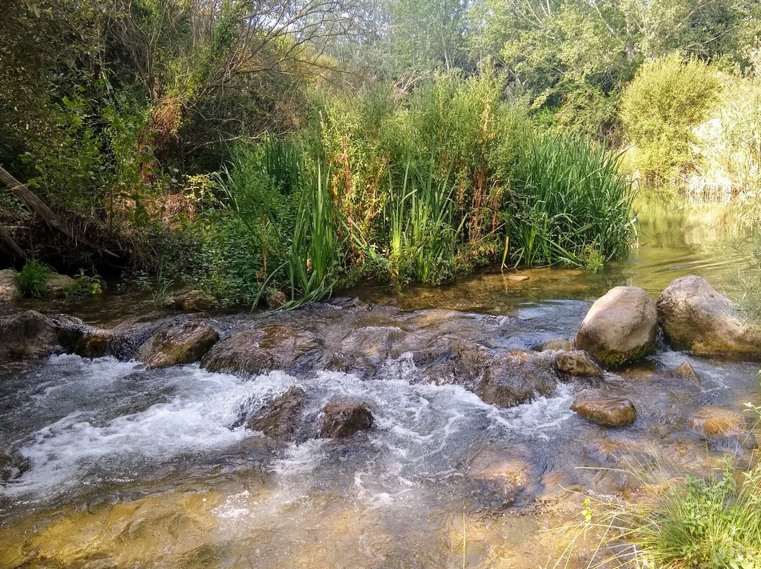 Viver旅游攻略图片