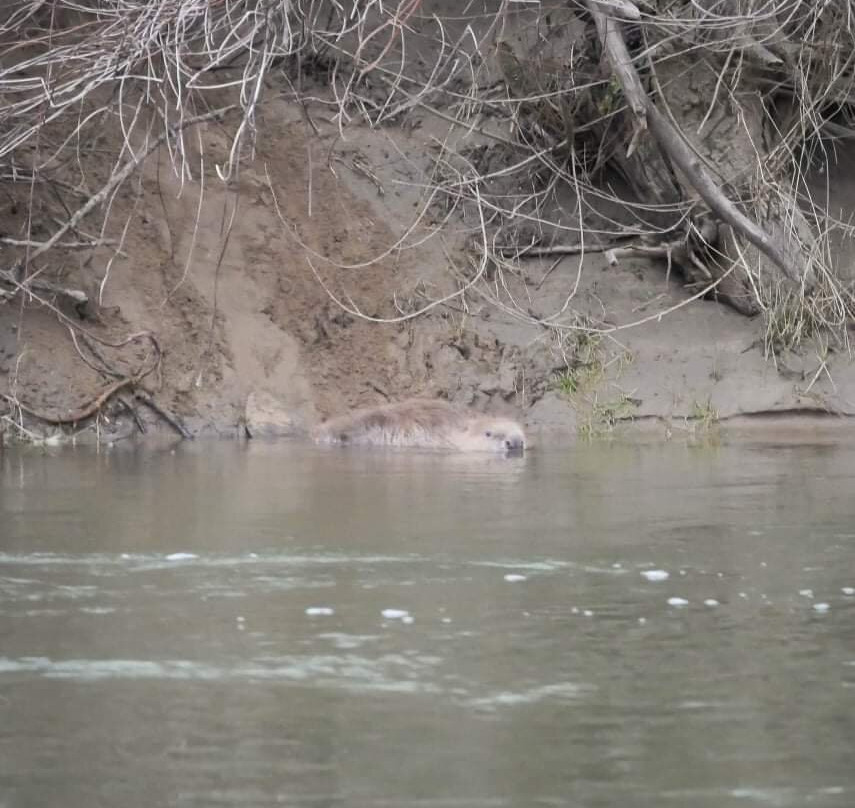 Escapades Ligeriennes