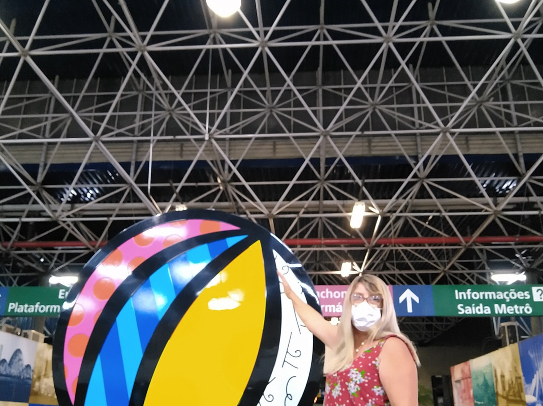 Terminal Rodoviario do Tietê-圣保罗必去景点